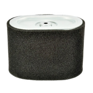 AIR FILTER COMBO FOR BRIGGS & STRATTON