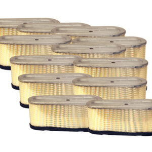 MASTER CTN REPLACEMENT FILTER FOR B&S 493909