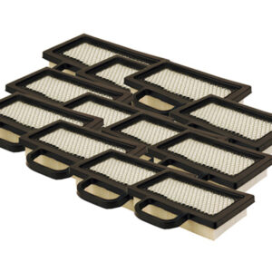 MASTER CTN REPL AIR FILTER FOR B&S 499486