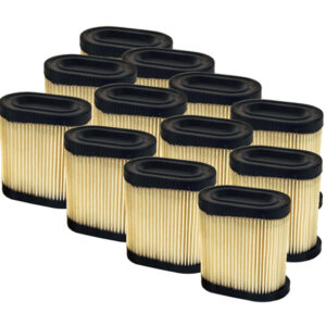 MASTER CTN REPL AIR FILTER FOR TECUMSEH 36905