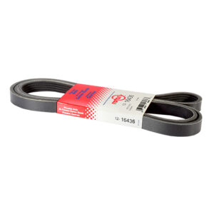 BELT HYDRO PUMP 5 RIB X 70.5" EXMARK